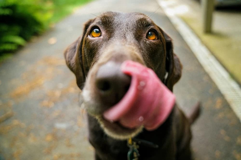 Les “bons” aliments parfois méconnus
