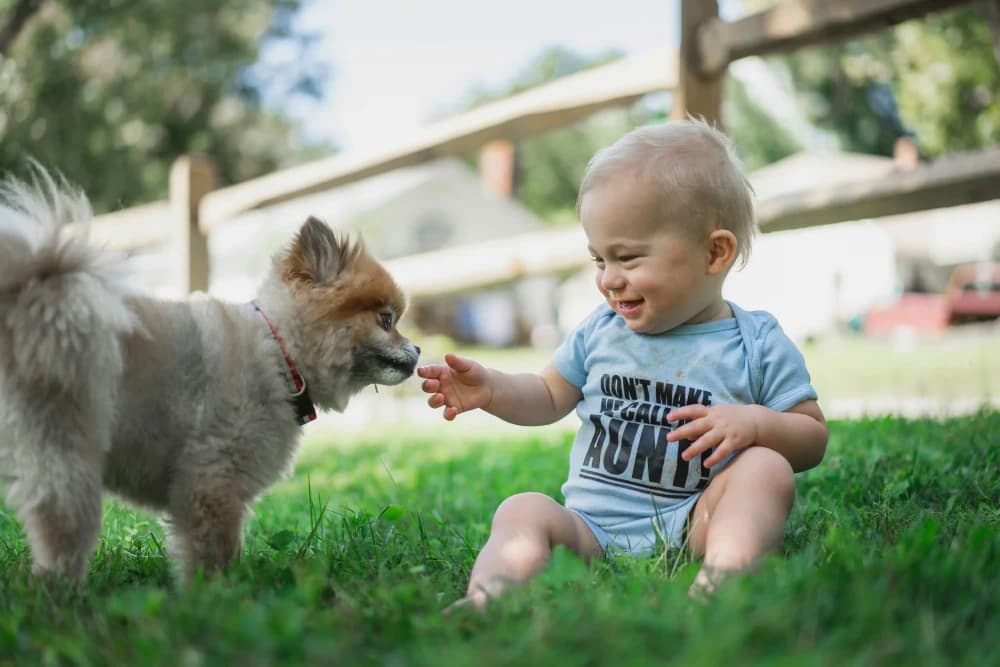 Ton chien et les enfants!