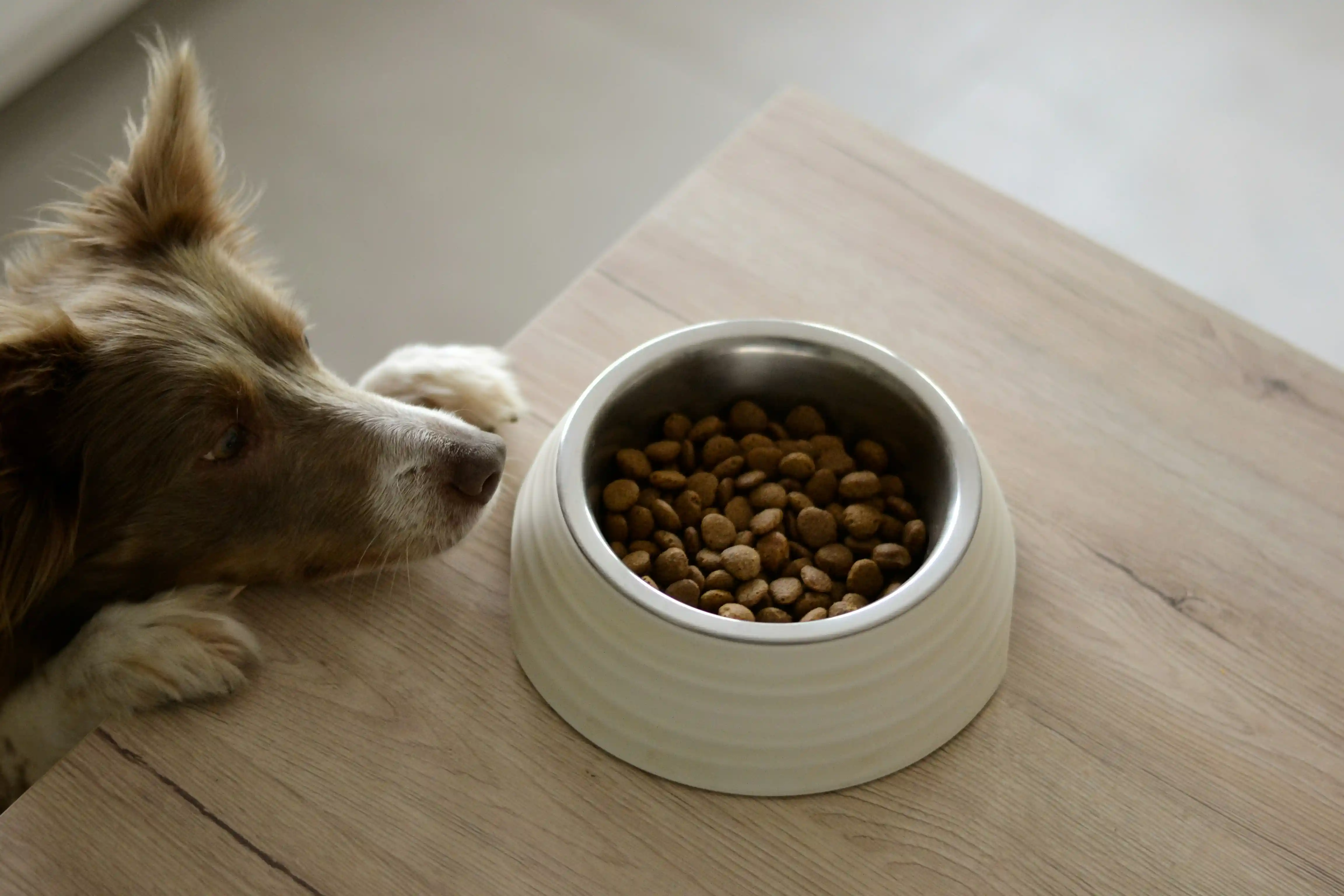 4 clés pour une alimentation équilibrée