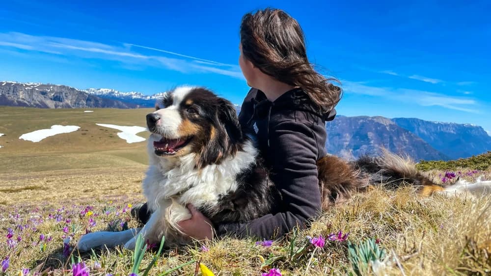 4 clés pour créer un lien fort avec ton chien