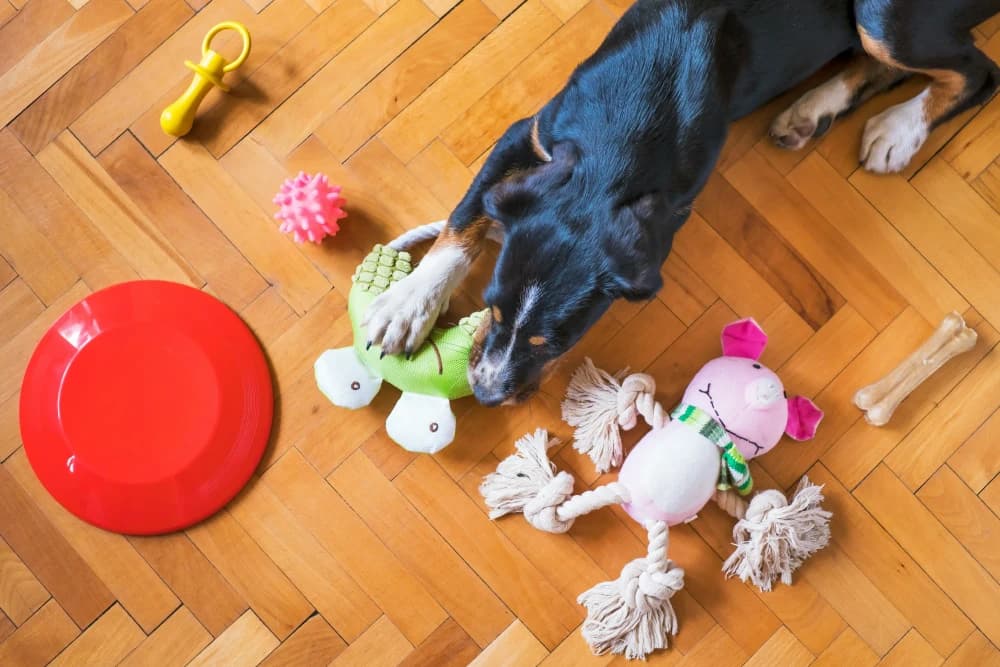Top des jouets à avoir
